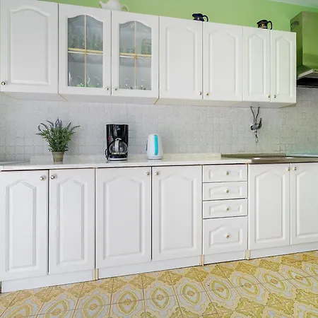 Apartment Branko *